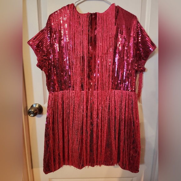 Xpluswear Design Plus Size Hot Pink Party Short Sleeve Fringe Sequin Mini Dress - Picture 2 of 5